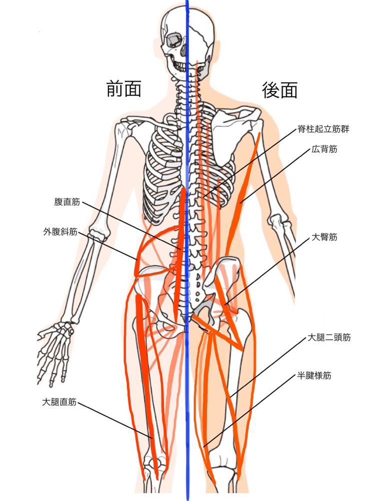 健康を考えるとき、つい見落としがちなこと
