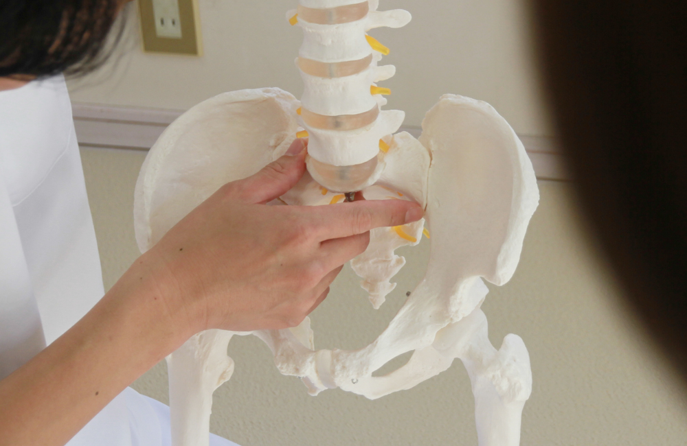 虹治療院 自然良能 骨盤調整会 鎌倉支部